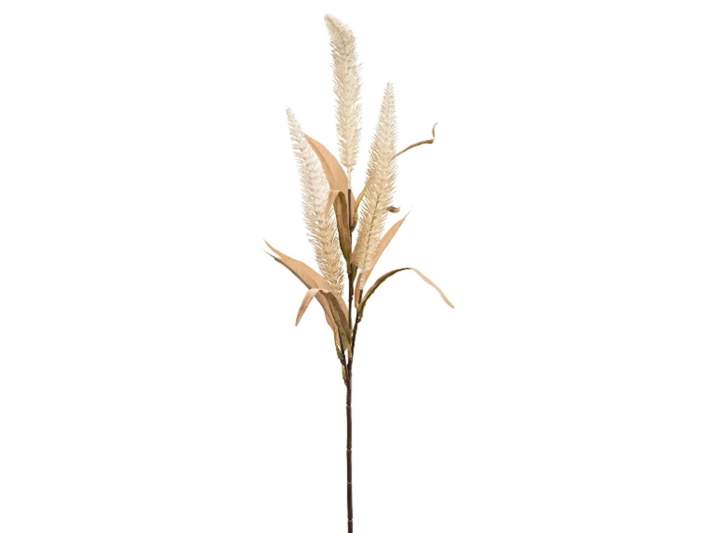 Gasper Kunstblume Graszweig Creme H: 70 cm | Schubiger Möbel