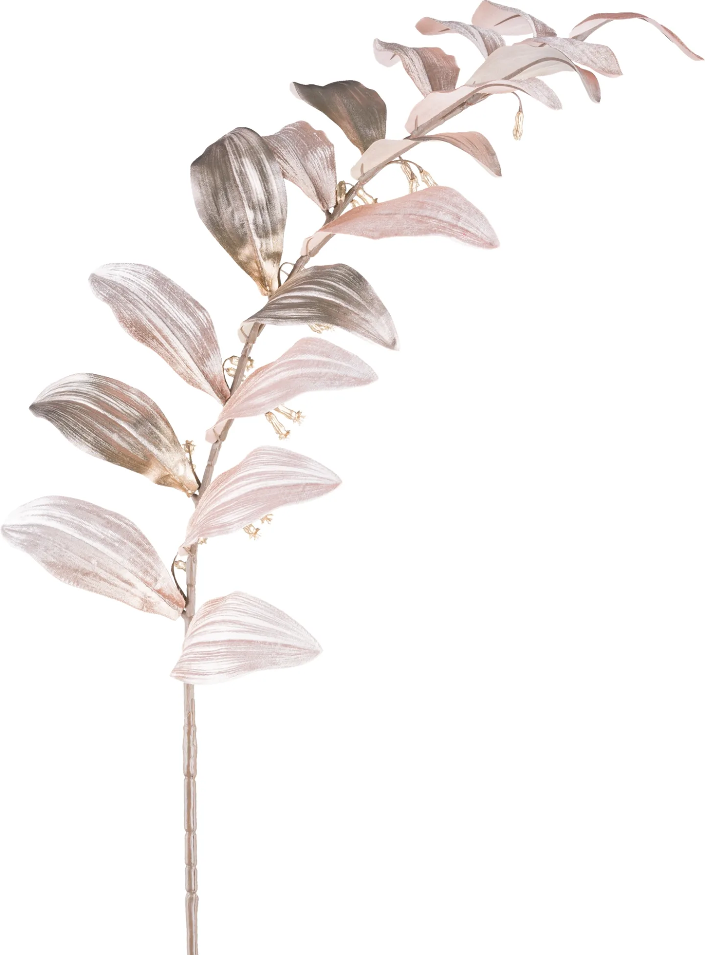 Gasper Kunstblumen Salomonsiegel H: 120 cm | Schubiger Möbel