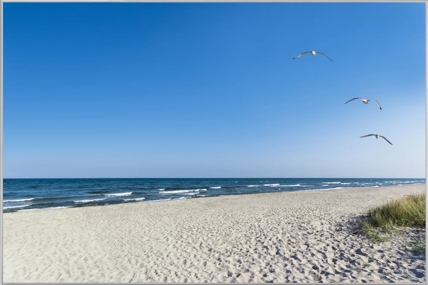 image LAND Bild mit Rahmen Einsamer Strand | Schubiger Möbel