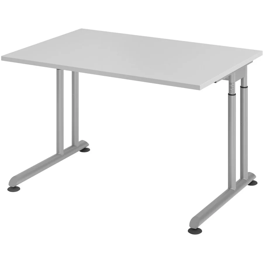 Schreibtisch Office grau Holzwerkstoff B 120 T 80 cm