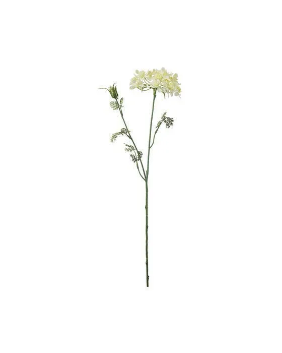 Blütenkerbel gelb