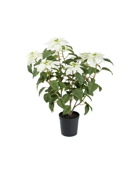 Julestjerne – kunstig plante i hvid