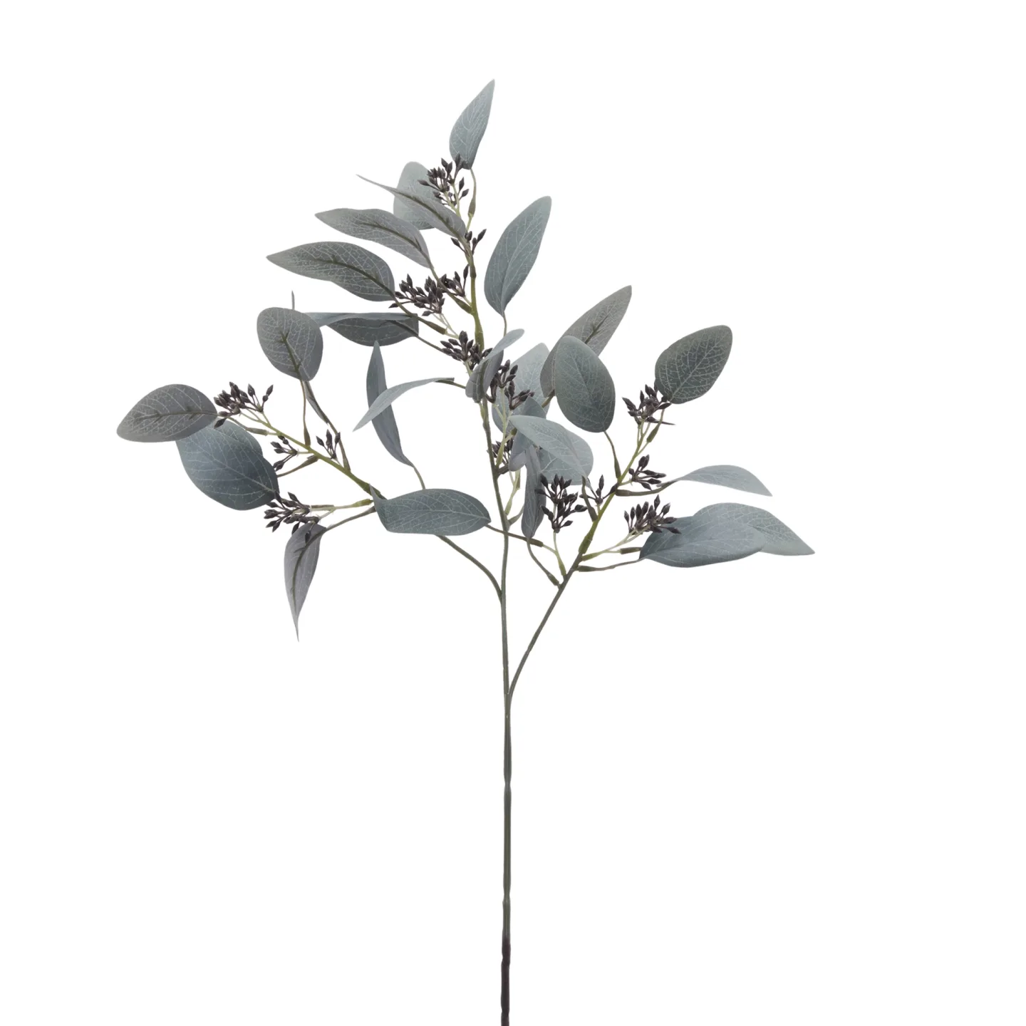 Edg Kunstblume Eukalyptus Hellgrün H: 60 cm | Schubiger Möbel