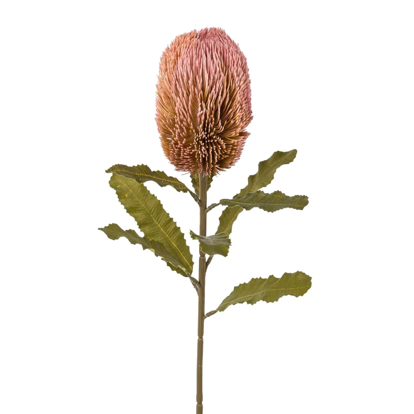 Gasper Kunstblume Banksie Rosa H: 65 cm Rosa | Schubiger Möbel
