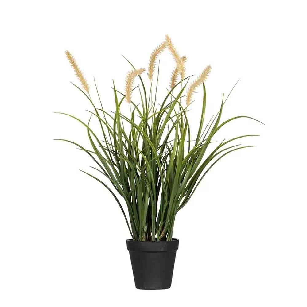 Dunborstgräs Konstväxt 56 cm