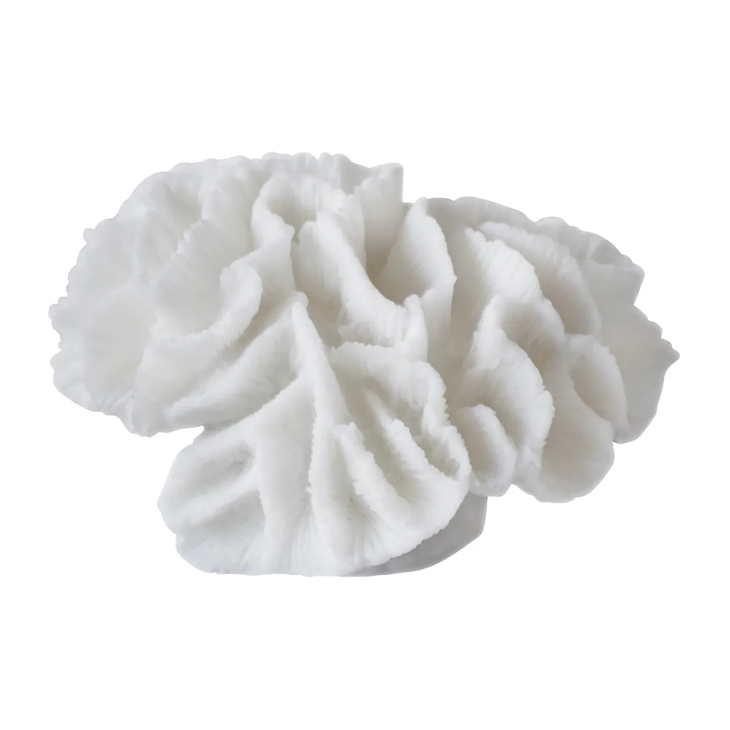 Mette Ditmer Coral gills White