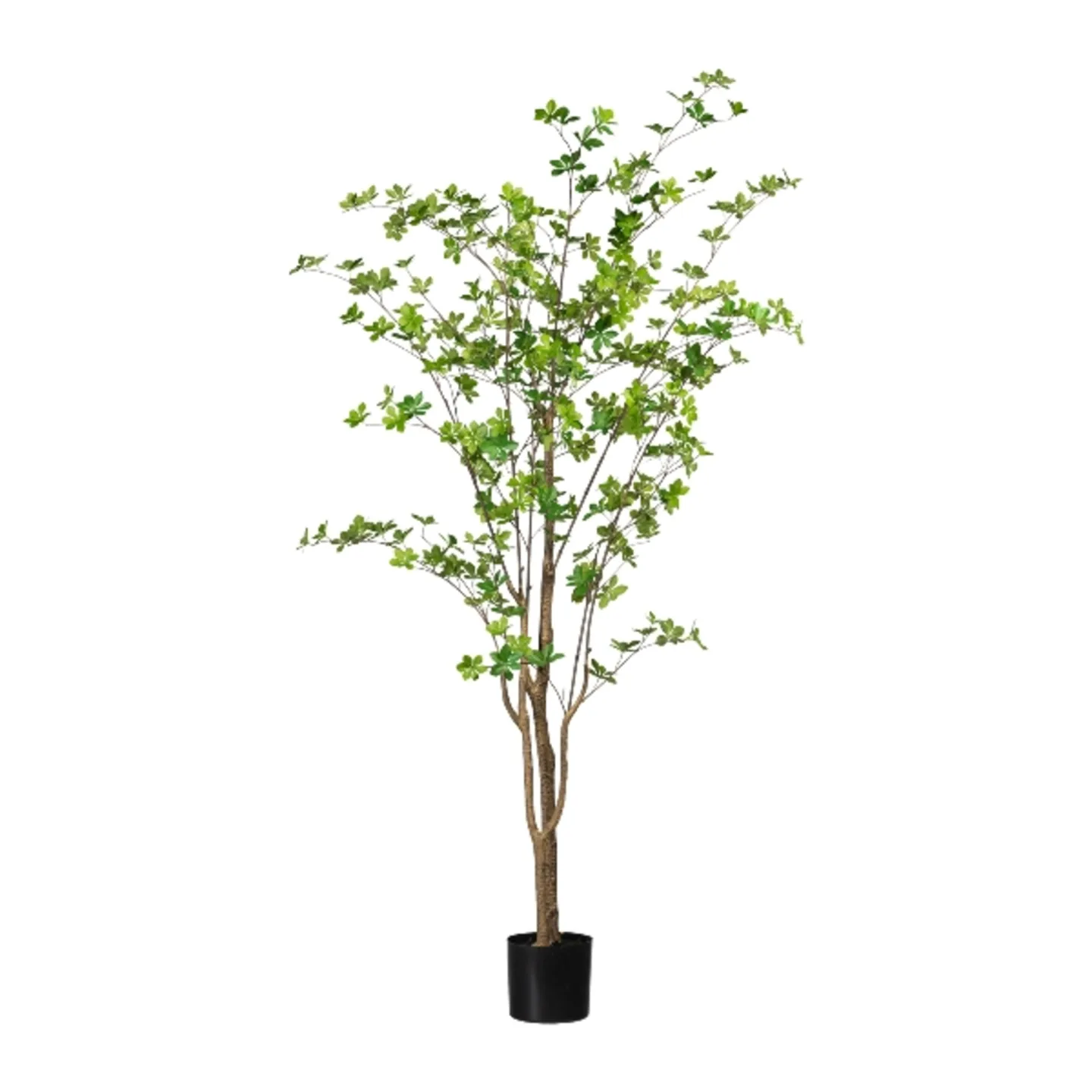 Gasper Kunstpflanze Louisiana-Baum im Kunststofftopf, Grün H: 180 cm | Schubiger Möbel