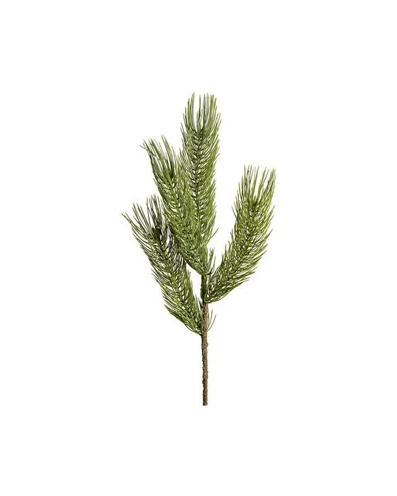 Forrest fyrrekvist grøn