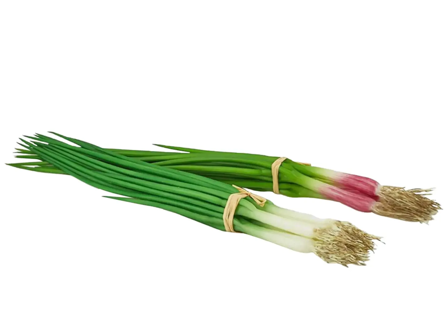 Edg Kunstblumen Frühlingszwiebel Fein H: 30 cm | Schubiger Möbel
