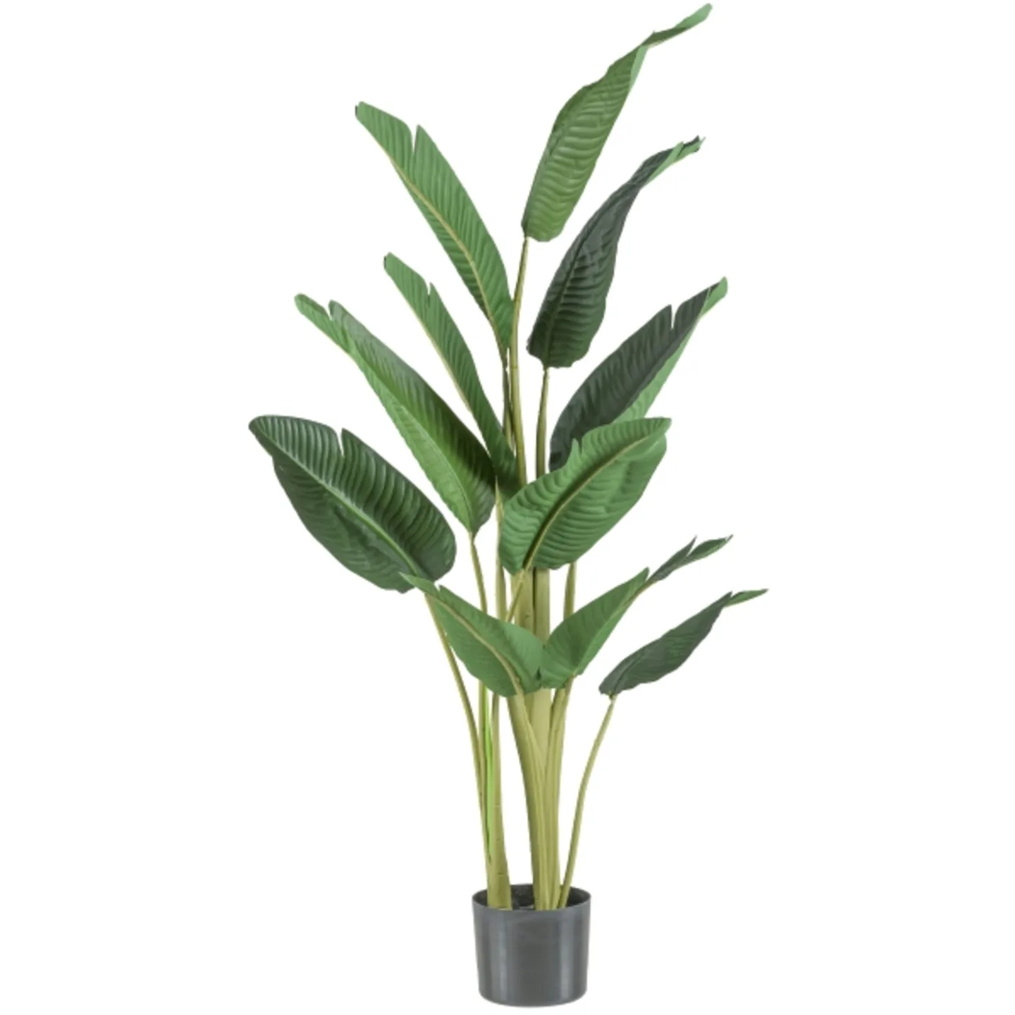 Gasper Kunstpflanzen Traveller Palme H: 150 cm | Schubiger Möbel