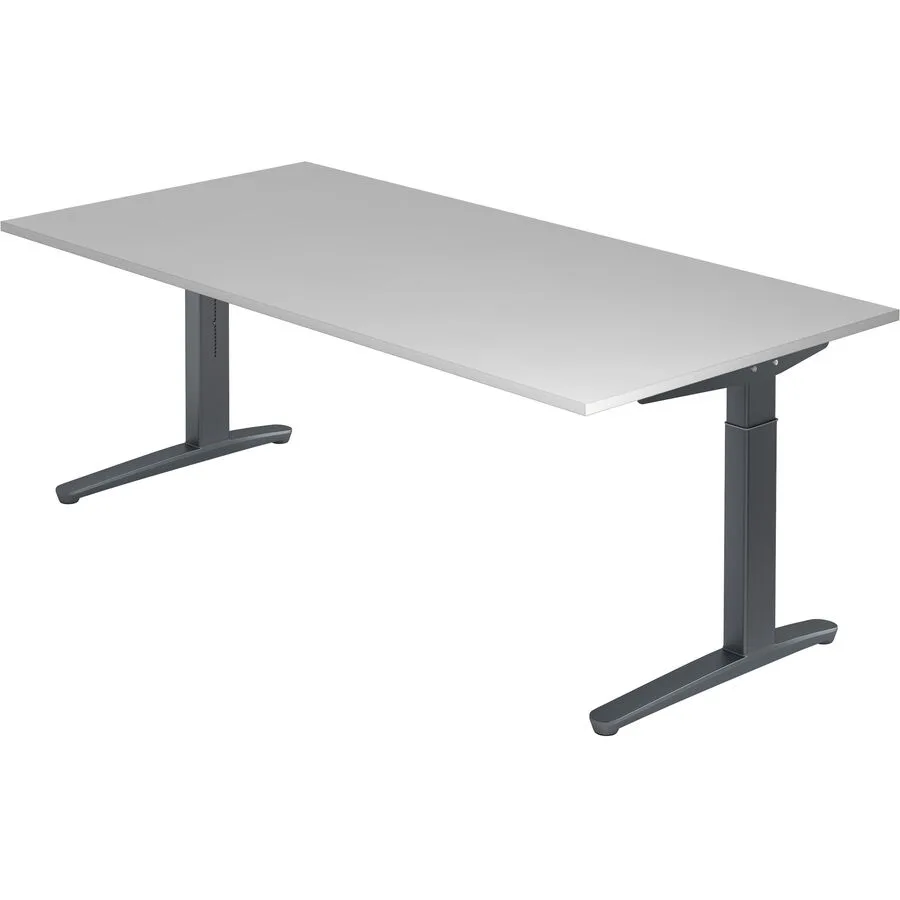 Schreibtisch Office grau Holzwerkstoff B 200 T 100 cm