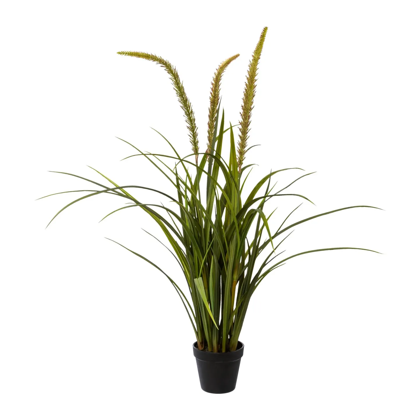 Gasper Kunstpflanze Miscanthus im Topf | Schubiger Möbel