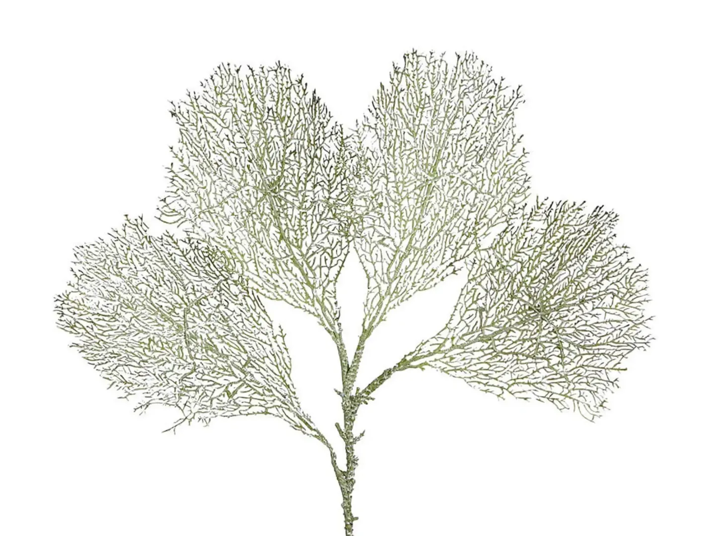 Edg Kunstblume Corallenblatt H: 66 cm | Schubiger Möbel