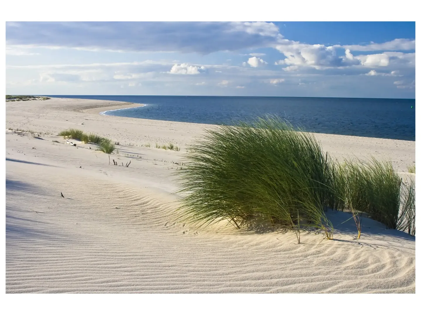 image LAND Digitaldruck auf Acrylglas Strand mit Dünengras | Schubiger Möbel