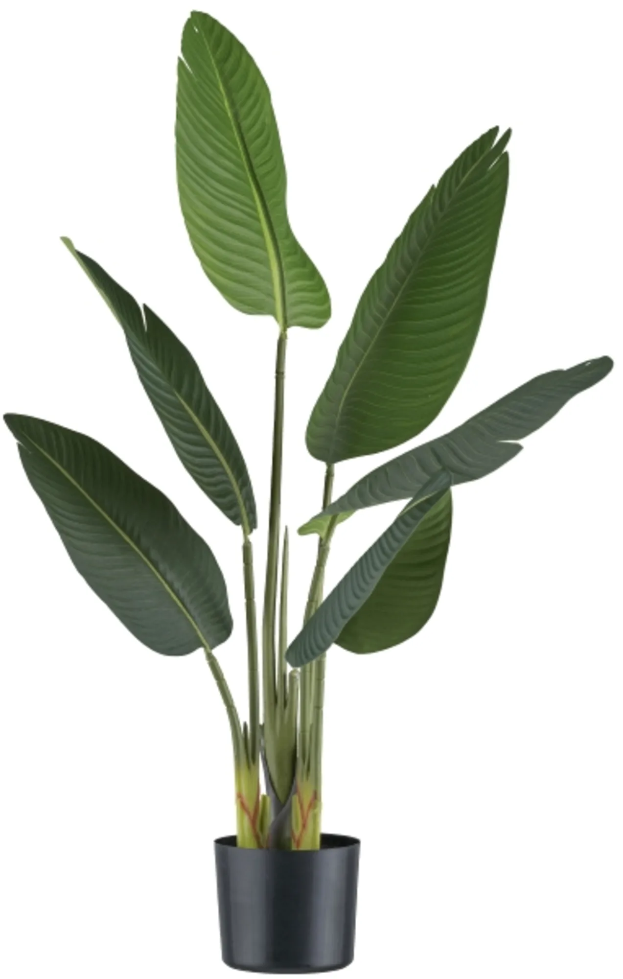Gasper Kunstpflanzen Strelitzia / H: 90 cm | Schubiger Möbel