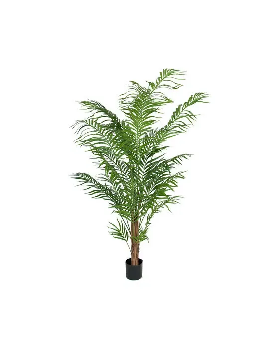Areca palm konstväxt grön