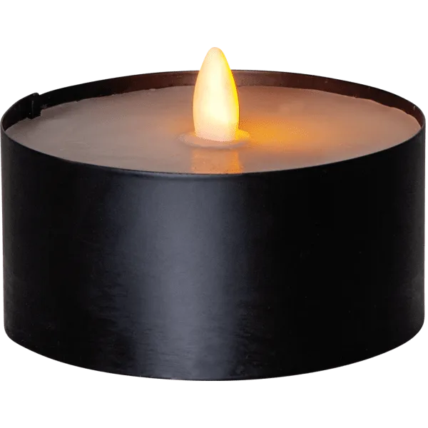 Star Trading - LED Ljus Torch - Batteriljus - Svart