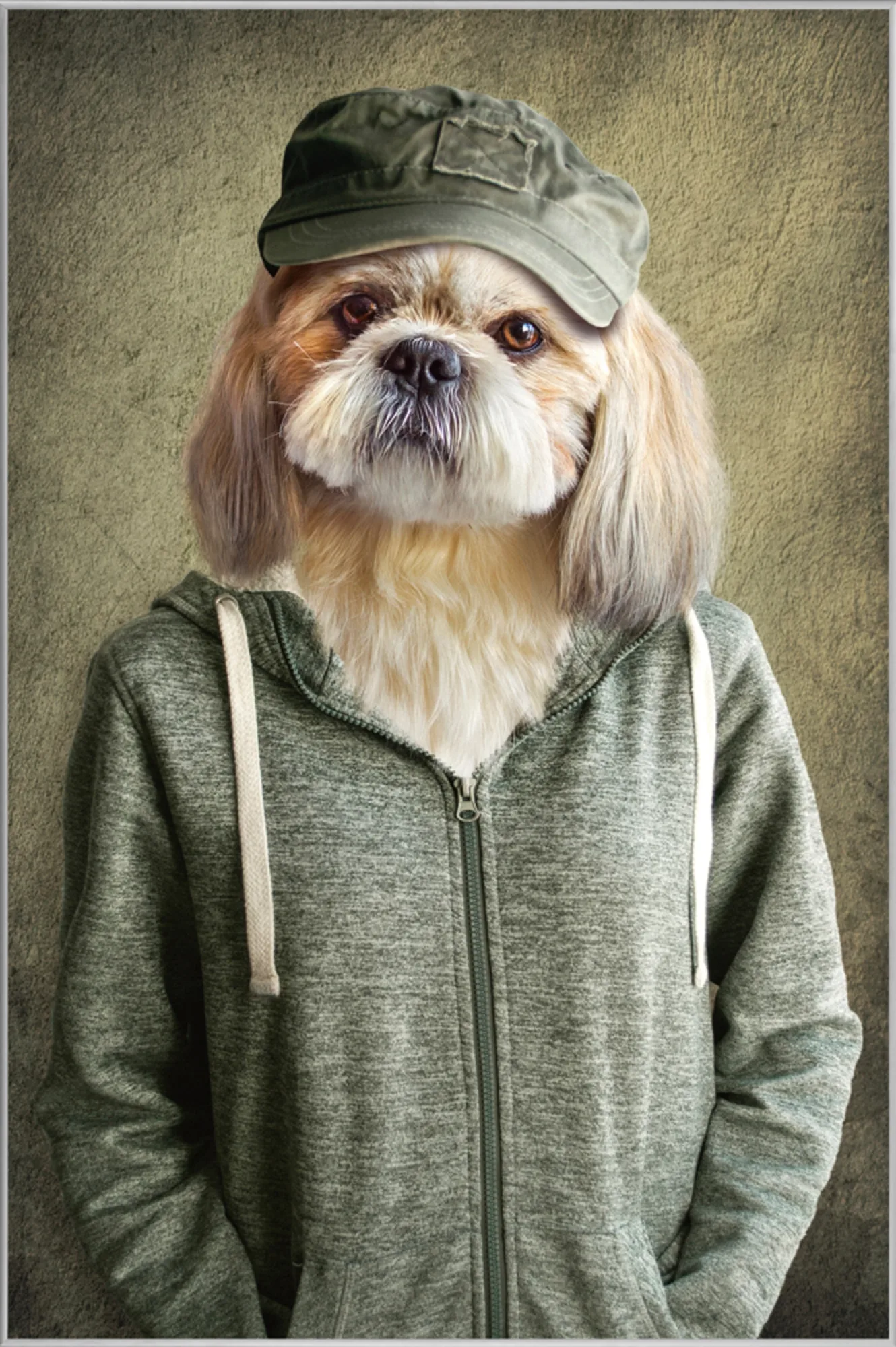 image LAND Bild mit Rahmen Witziger Hund mit Jacke | Schubiger Möbel