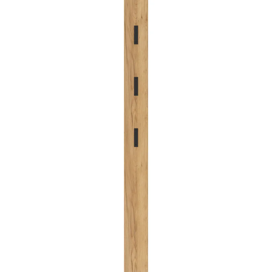 Garderobenpaneel ALVIANO eiche Holzwerkstoff B 15 T 3 H 170 cm