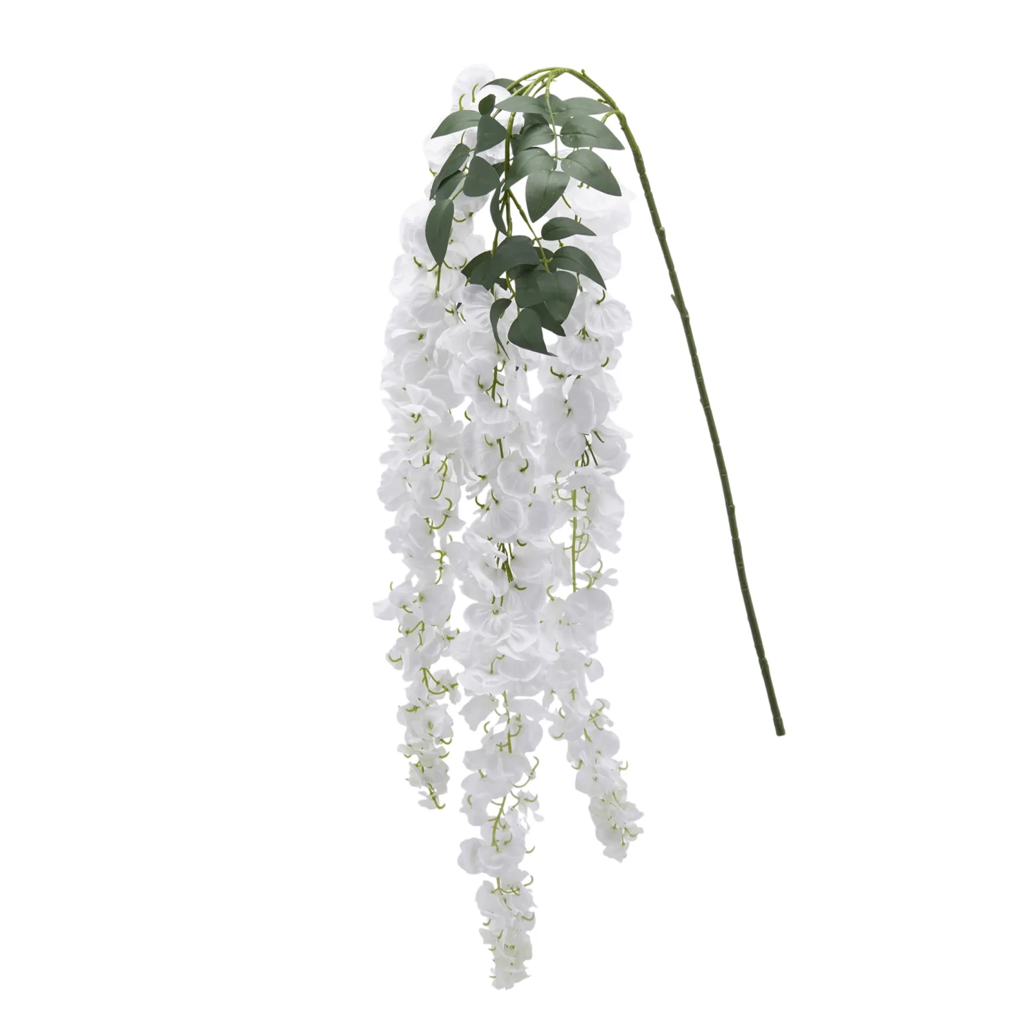 Edg Kunstblume Glicine Weiss H: 150 cm | Schubiger Möbel