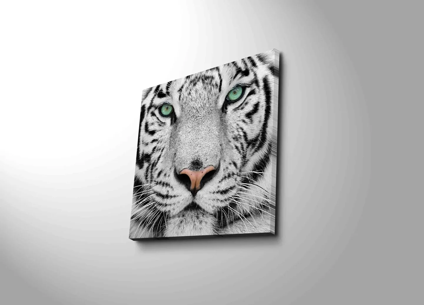 Canvastavla 45x45 cm - Närbild av en vit tiger med intensiva ögon - Vit / Svart / Grön