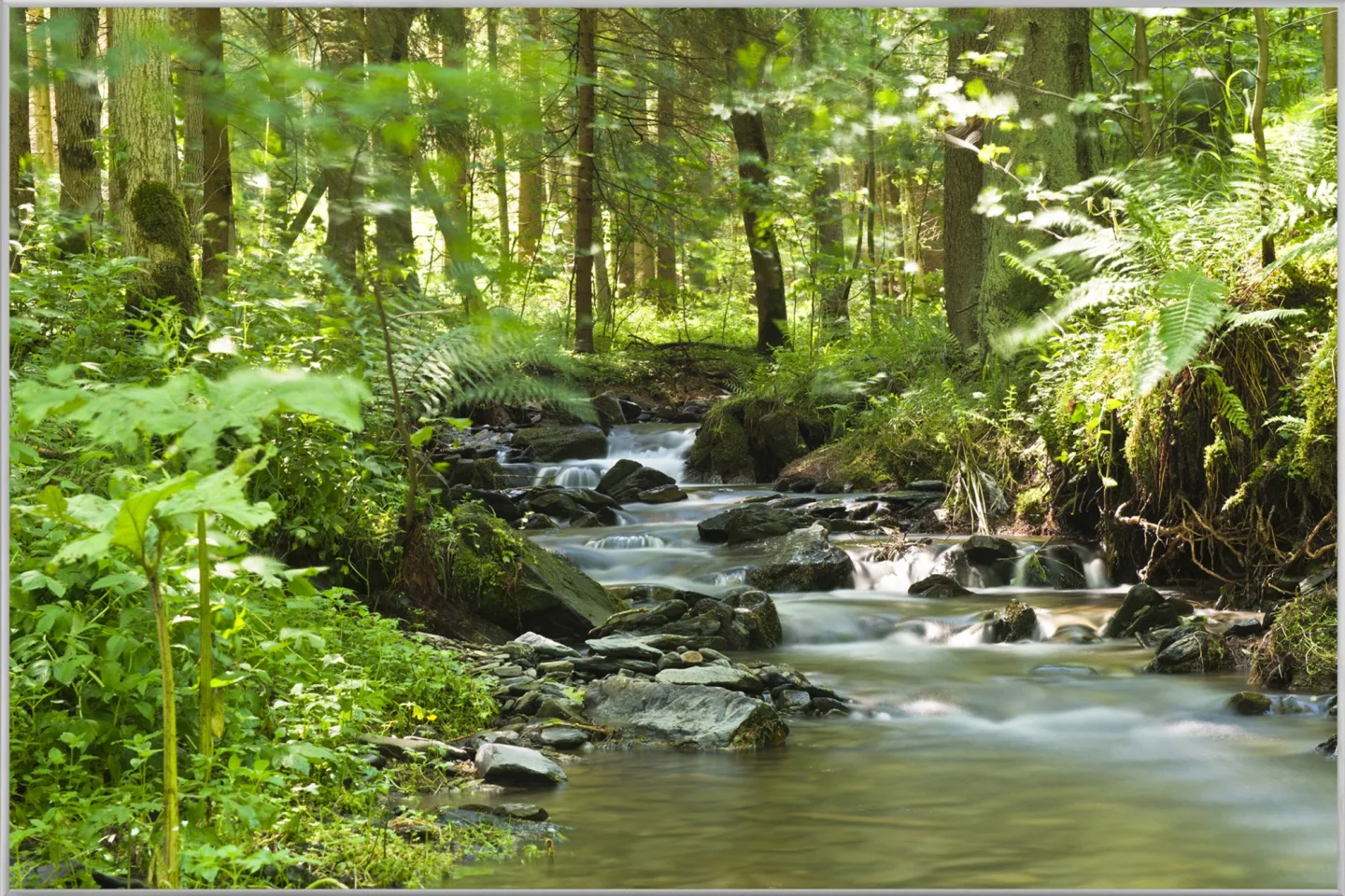image LAND Bild mit Rahmen Flusslauf im Wald 1 | Schubiger Möbel