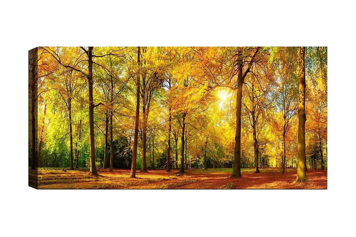 Canvastavla YTY Landscape & Nature Flerfärgad - 120x50 cm