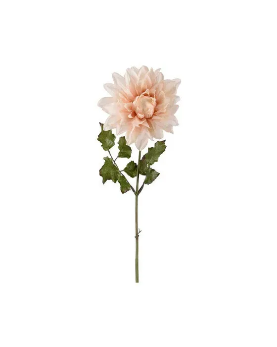 Dahlia afskåret blomst lyserød