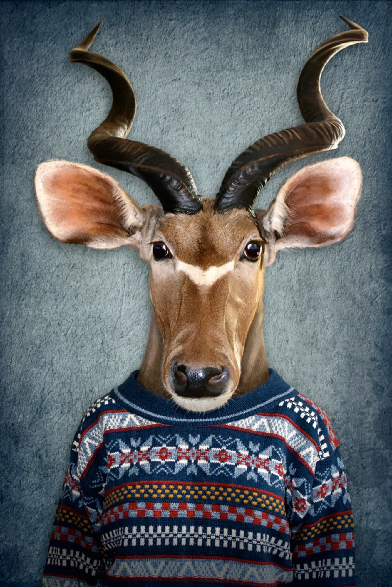 image LAND Alubild Antilope mit Pulli | Schubiger Möbel