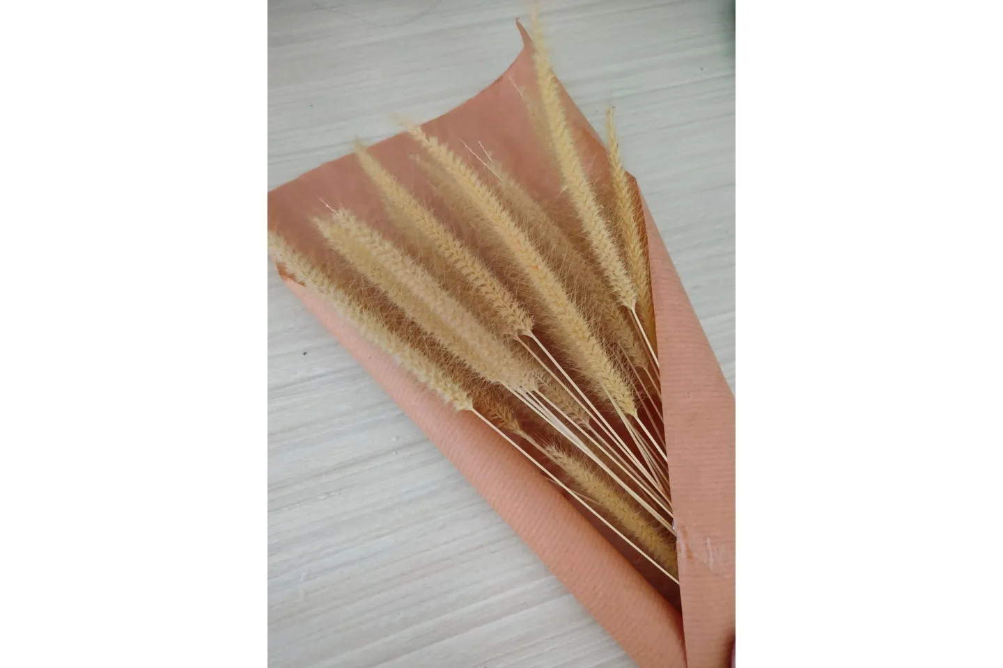 Poster Dry flowers 70x100 cm - Rosa/Beige