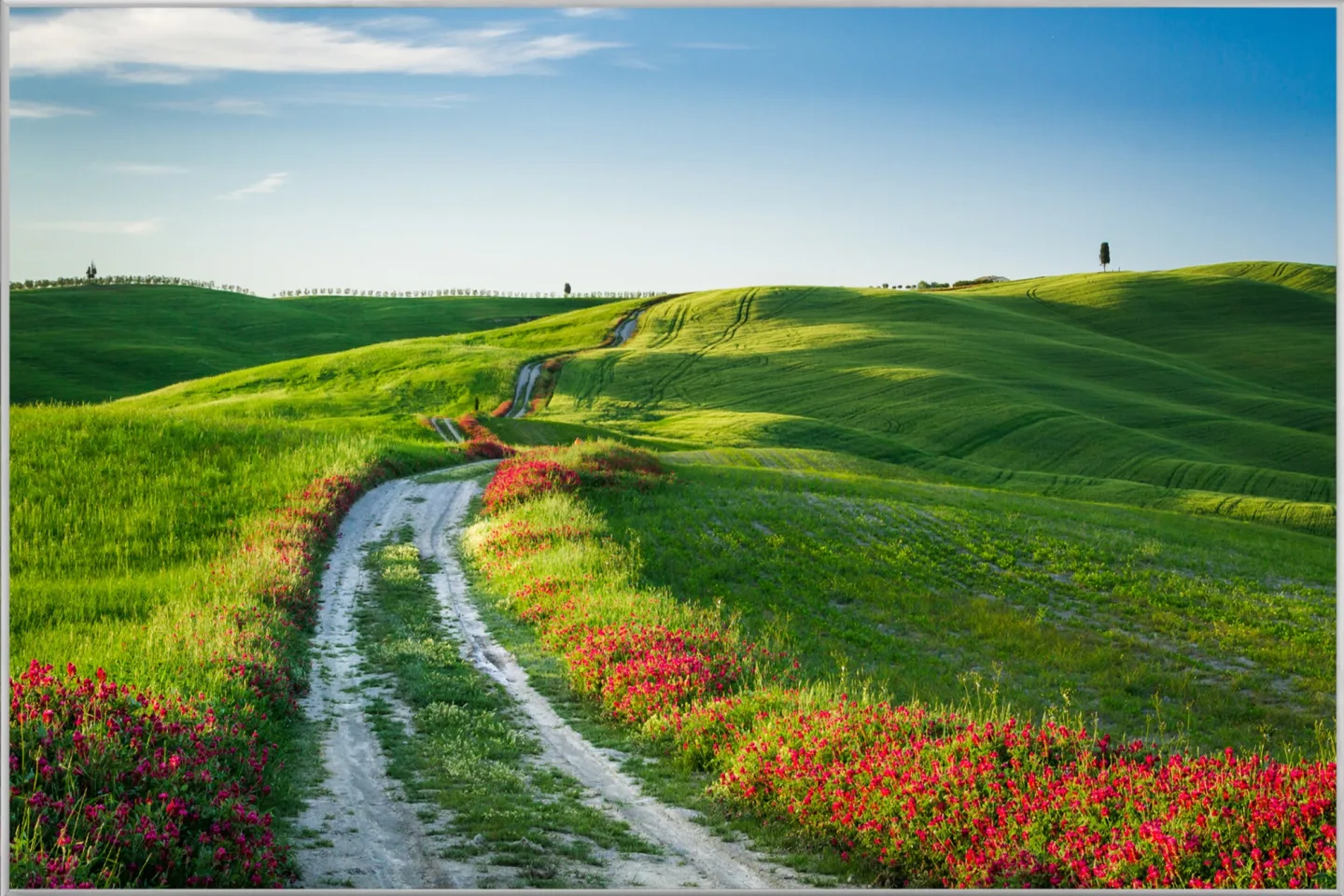 image LAND Bild mit Rahmen Wegesrand mit Mohn | Schubiger Möbel