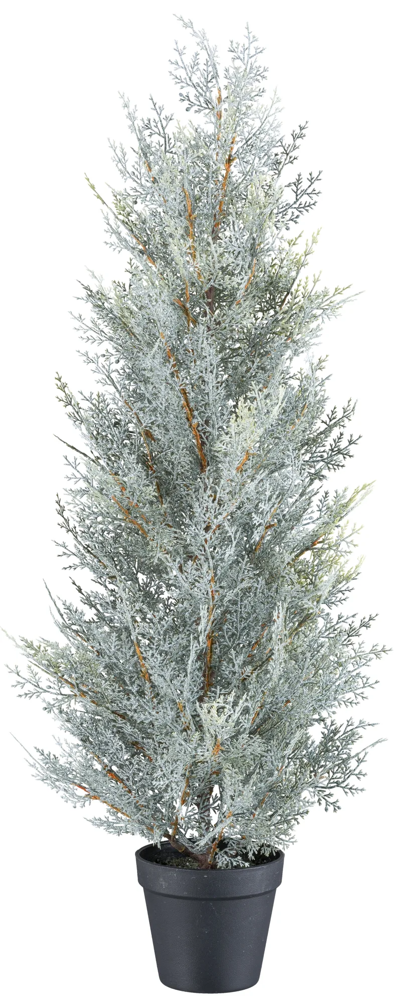 Gasper Kunstpflanzen Koniferenbaum, Grau H: 79 cm | Schubiger Möbel