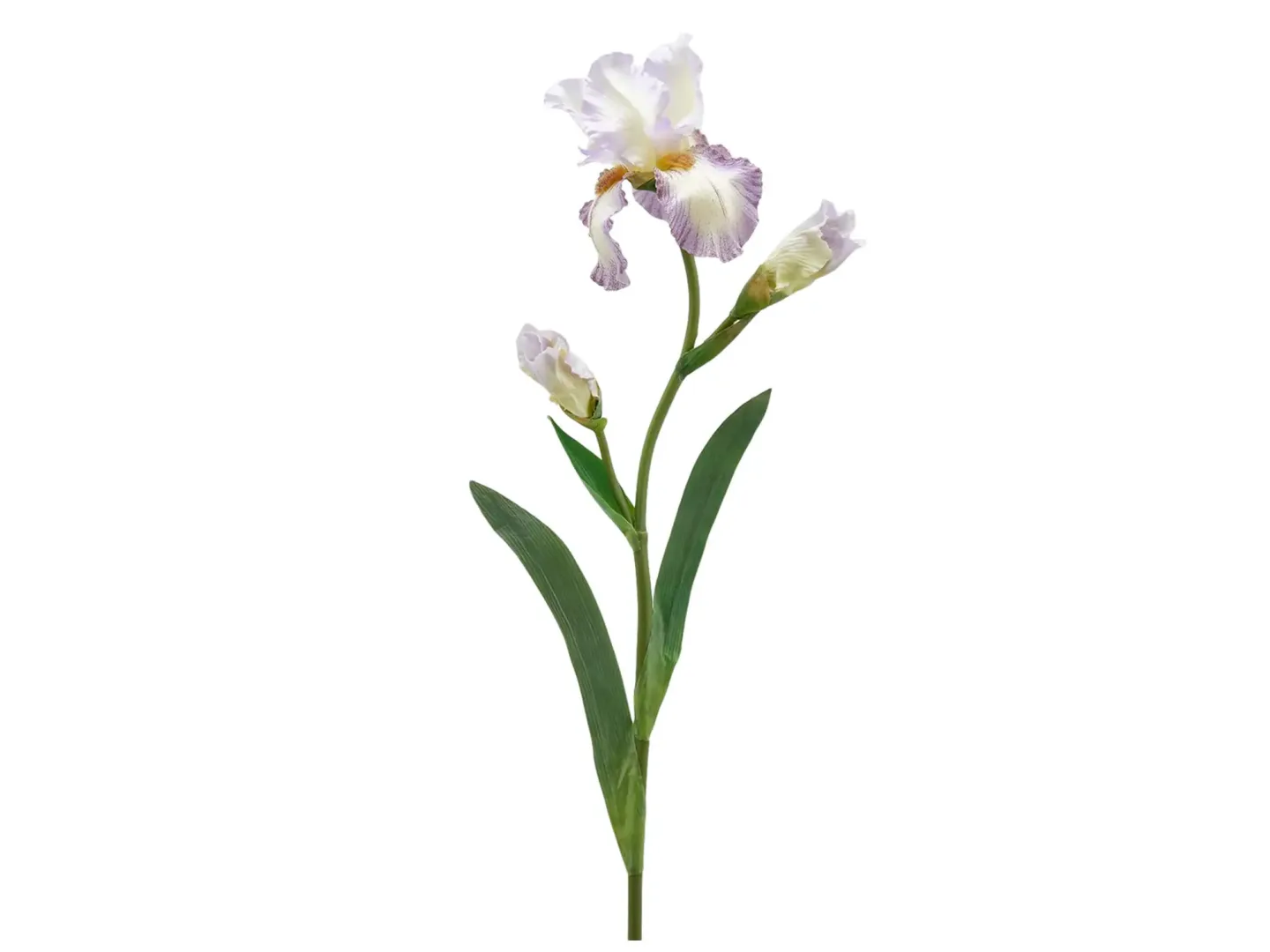 Edg Kunstblume Schwertlilie Mauve H: 80 cm | Schubiger Möbel