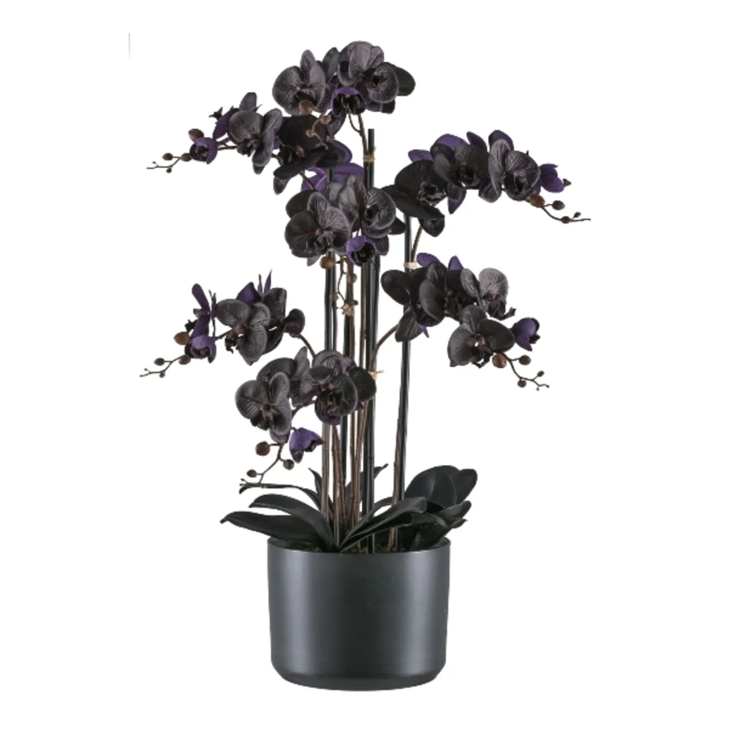Gasper Kunstpflanzen Phalaenopsis im Keramiktopf, Schwarz | Schubiger Möbel