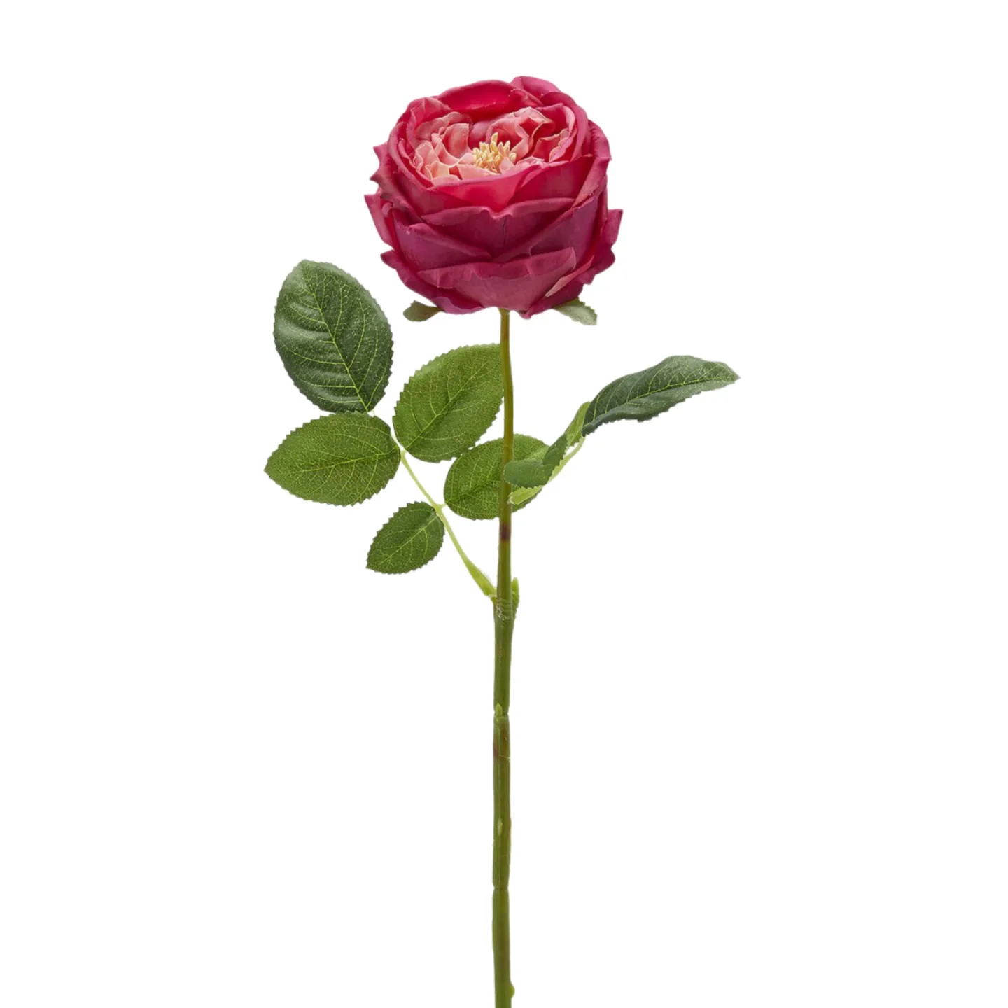Edg Kunstblumen Rose Rosa H: 45 cm | Schubiger Möbel