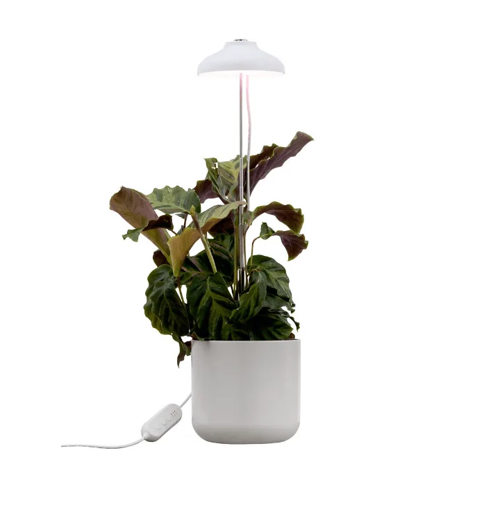 Airam - Växtbelysning Iris - Växtbelysning - Vit