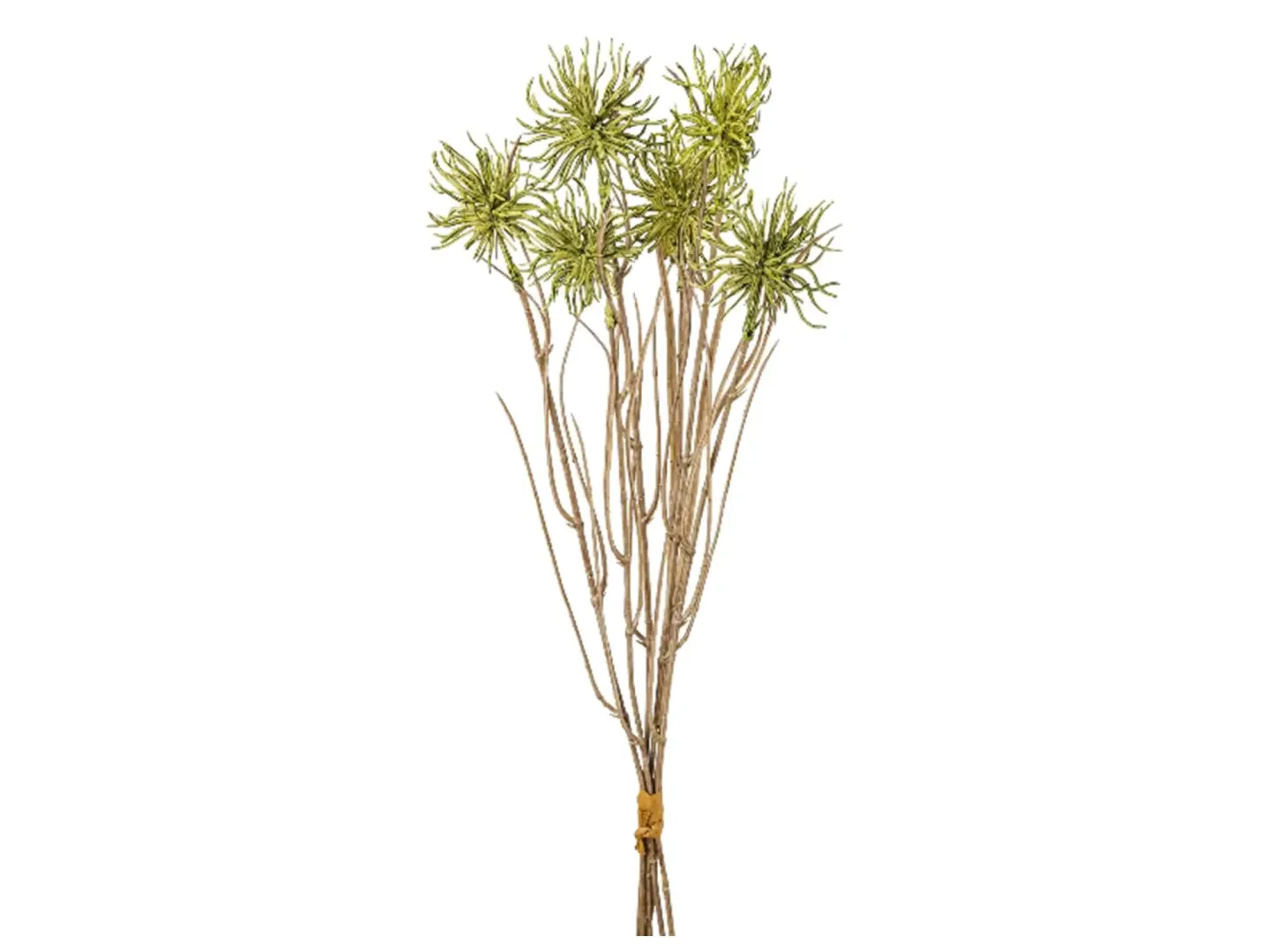 Gasper Kunstblume Urchinzweig-Bund Grün H: 43 cm | Schubiger Möbel