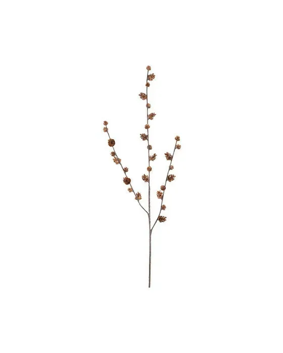 Branch Cone Brown