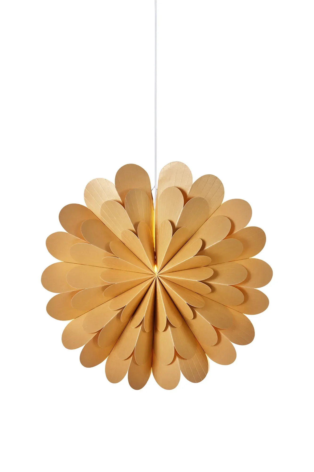 Maravilla Stern Gold 60 cm