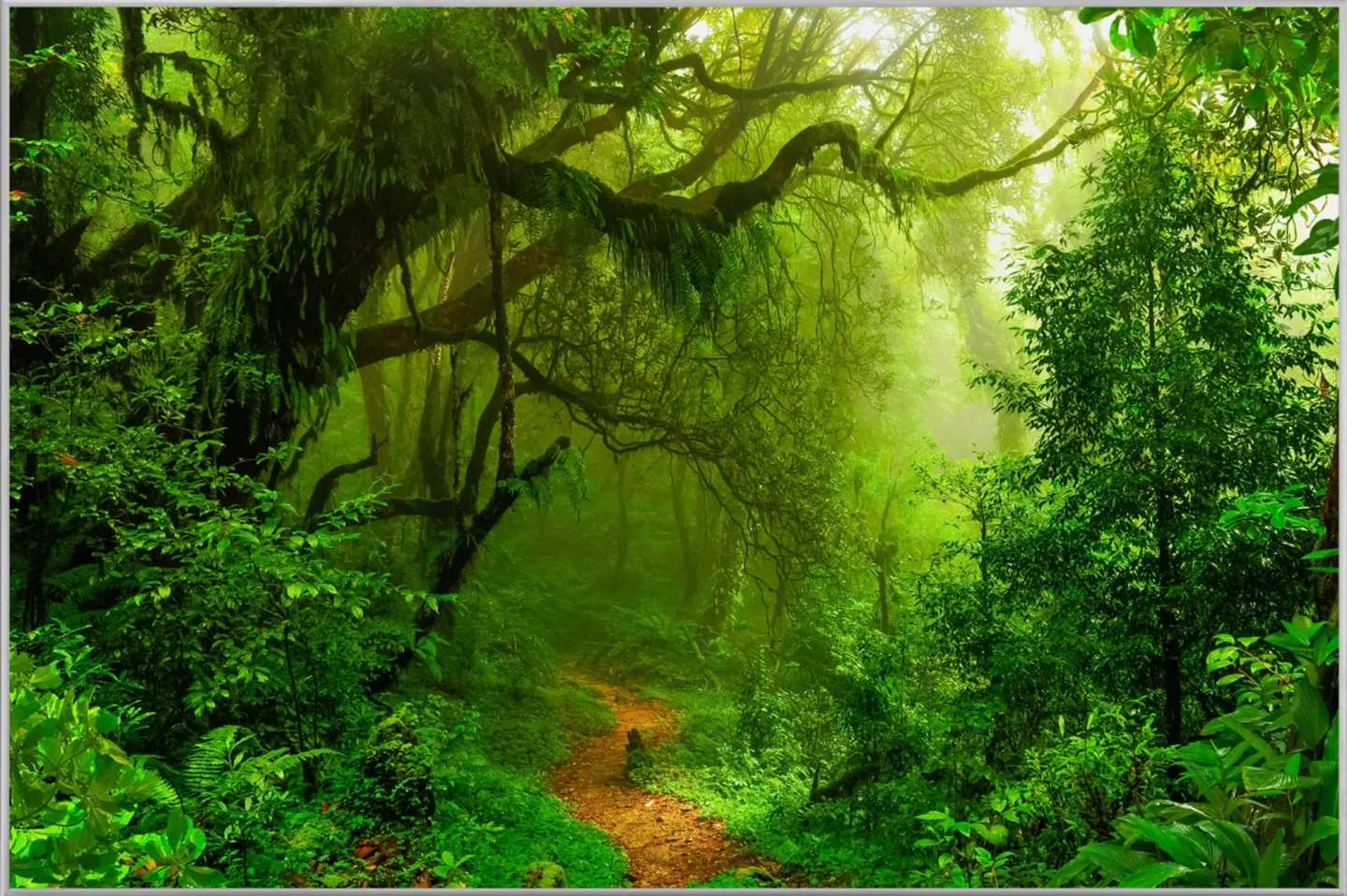 image LAND Bild mit Rahmen Woodland | Schubiger Möbel