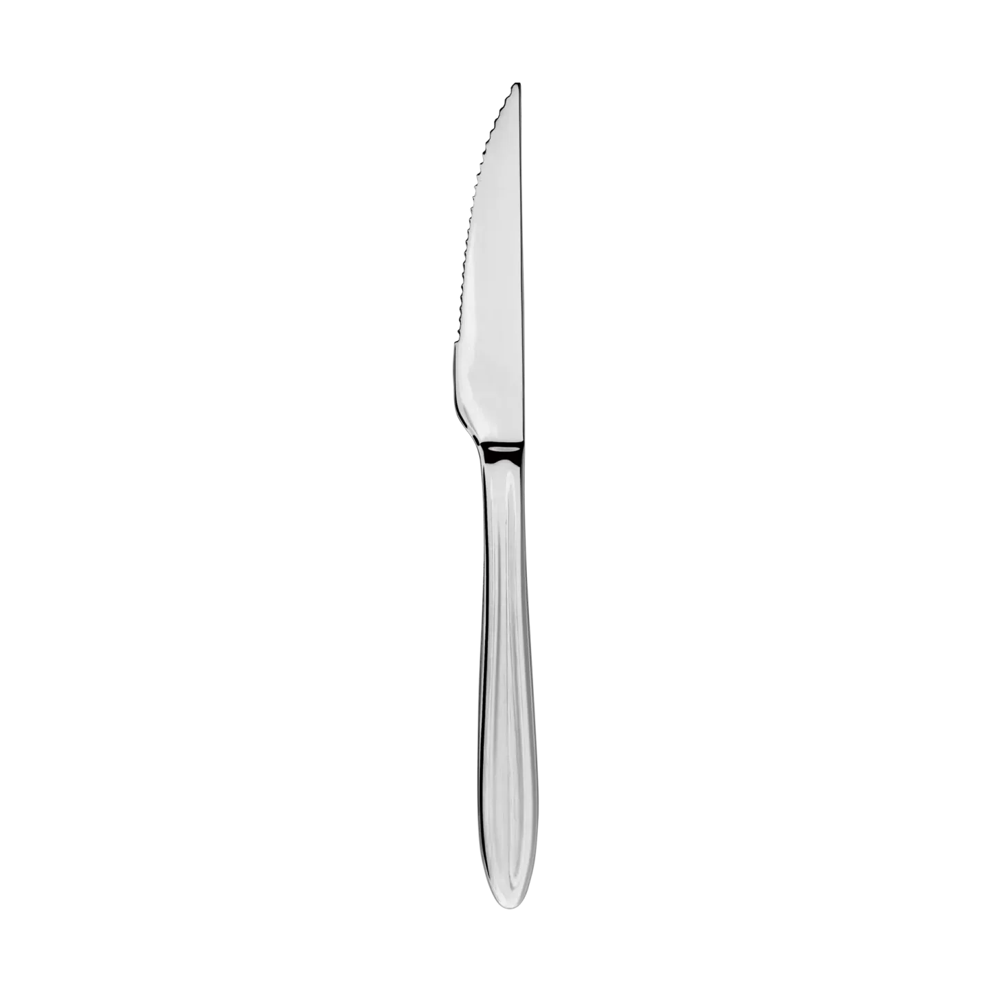 Aida Gastro Steakmesser Edelstahl