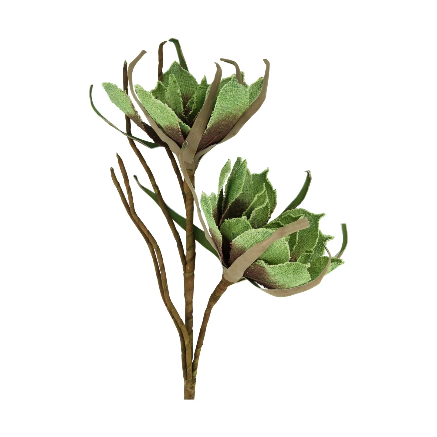 Decofinder Kunstblumen Magnolie Jute, Grün | Schubiger Möbel