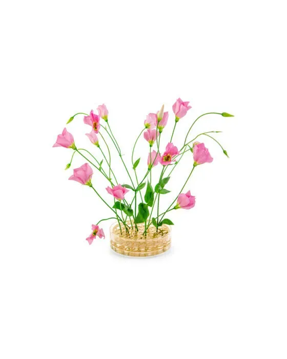 Äng Pond Vase Brass