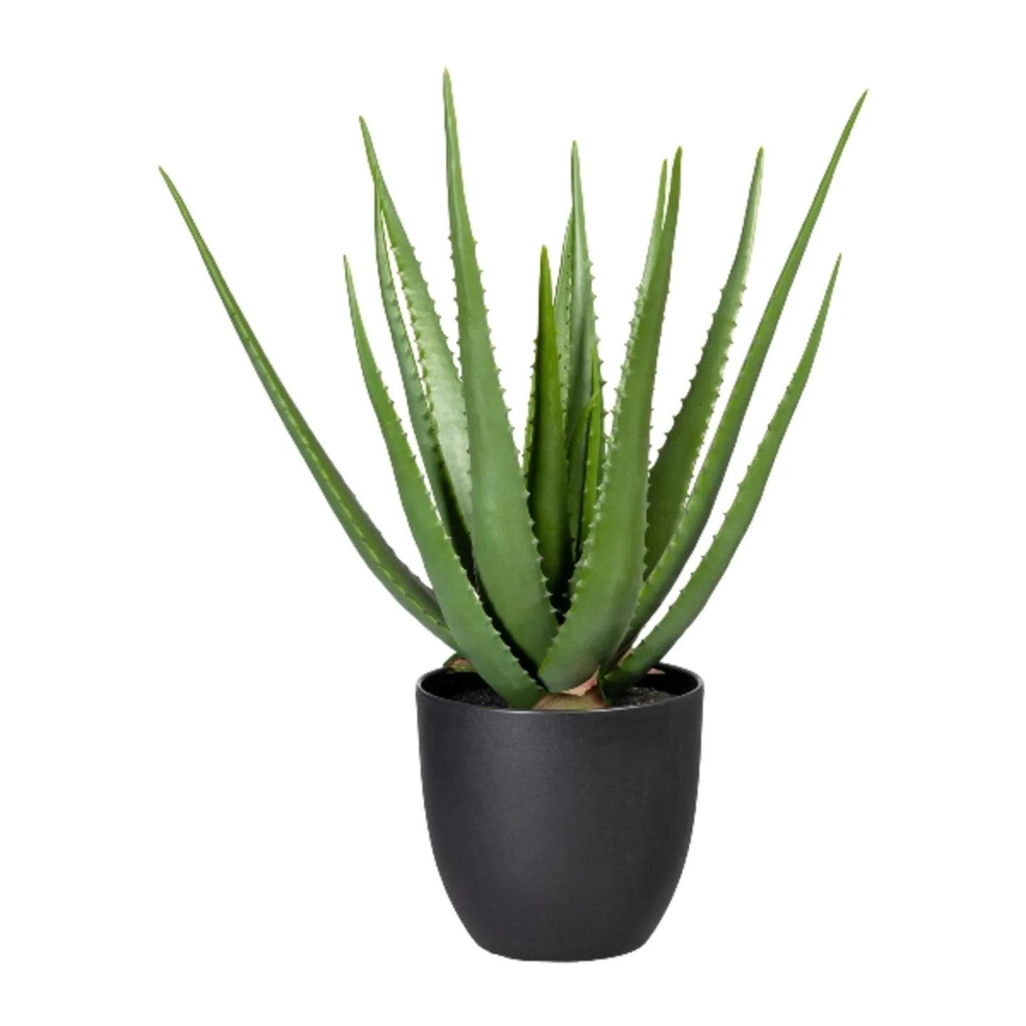 Gasper Kunstpflanze Aloe im Kunstofftopf, Grün H: 55 cm | Schubiger Möbel