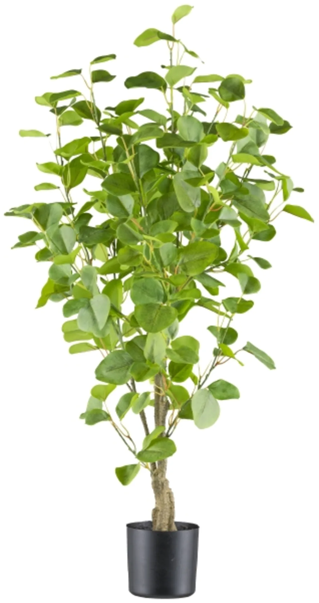 Gasper Kunstpflanzen Eukalyptus im Kunststofftopf H: 90 cm | Schubiger Möbel