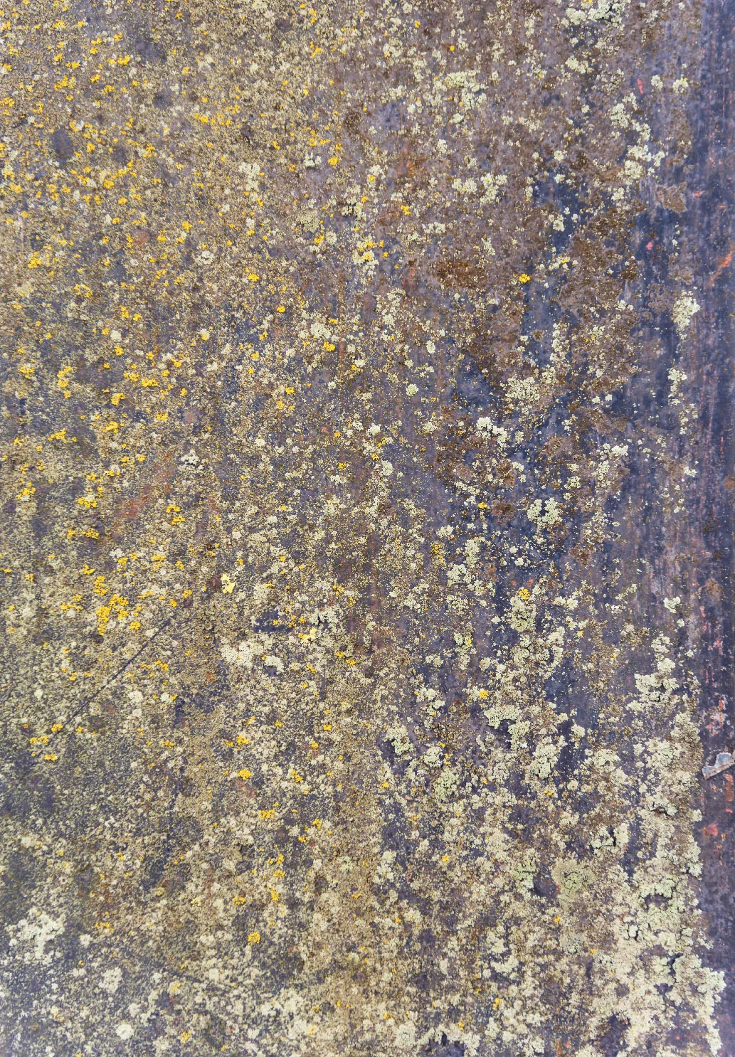 Wilton-teppe - Rey (blå/multi) (Størrelse: 160 x 230 cm)