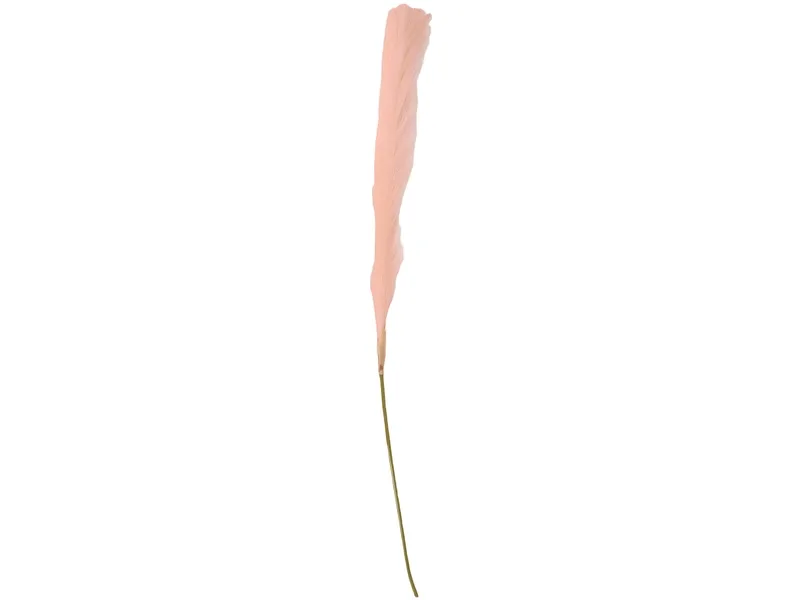 Pampas LIANA Rosa