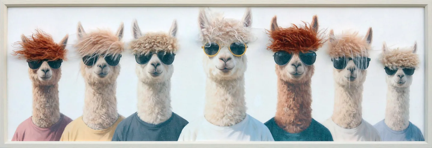 image LAND Gemälde Boyband The Lama Pacos | Schubiger Möbel