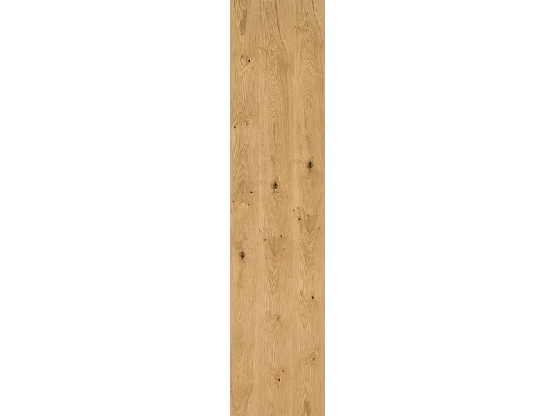 1 Tür EVOLUTION