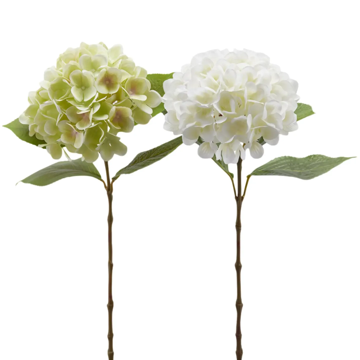 Edg Kunstblume Hortensien Ass. Weiss, Grün H: 60 cm | Schubiger Möbel